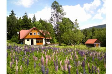 Tšehhi Vabariik Chata Deštné v Orlických horách, Eksterjöör